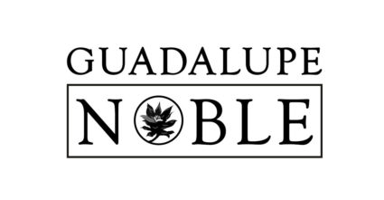 Sitio web de Guadalupe Noble